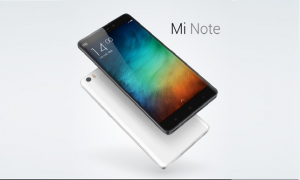 mn2